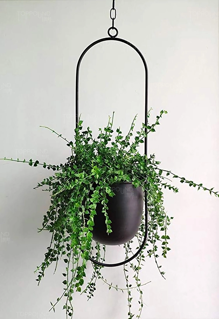 Hanging Planters for Indoor &amp; Outdoor Plant with 6&quot; Pot (Detachable) + Hook Hanging Plant Holder, Plant Hanger, MID Century &amp; Minimalist Planter Modern Home