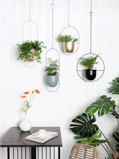 Hanging Planters for Indoor & Outdoor Plant with 6