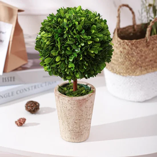 100% Natural Preserved Boxwood Topiary Bonsai Modern Home Floral Greenery